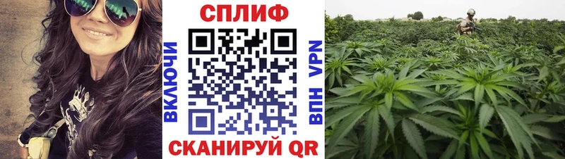 Где купить наркотики Мантурово ГАШ  Псилоцибиновые грибы  A PVP  Меф  Бошки Шишки 
