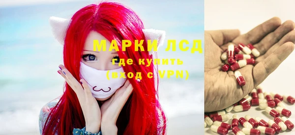 бошки Лагань