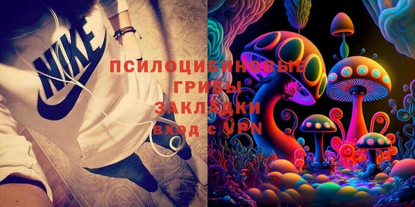 ALPHA PVP Галич