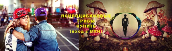 COCAINE Гвардейск