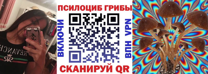 Псилоцибиновые грибы MAGIC MUSHROOMS  купить наркотики цена  Мантурово 